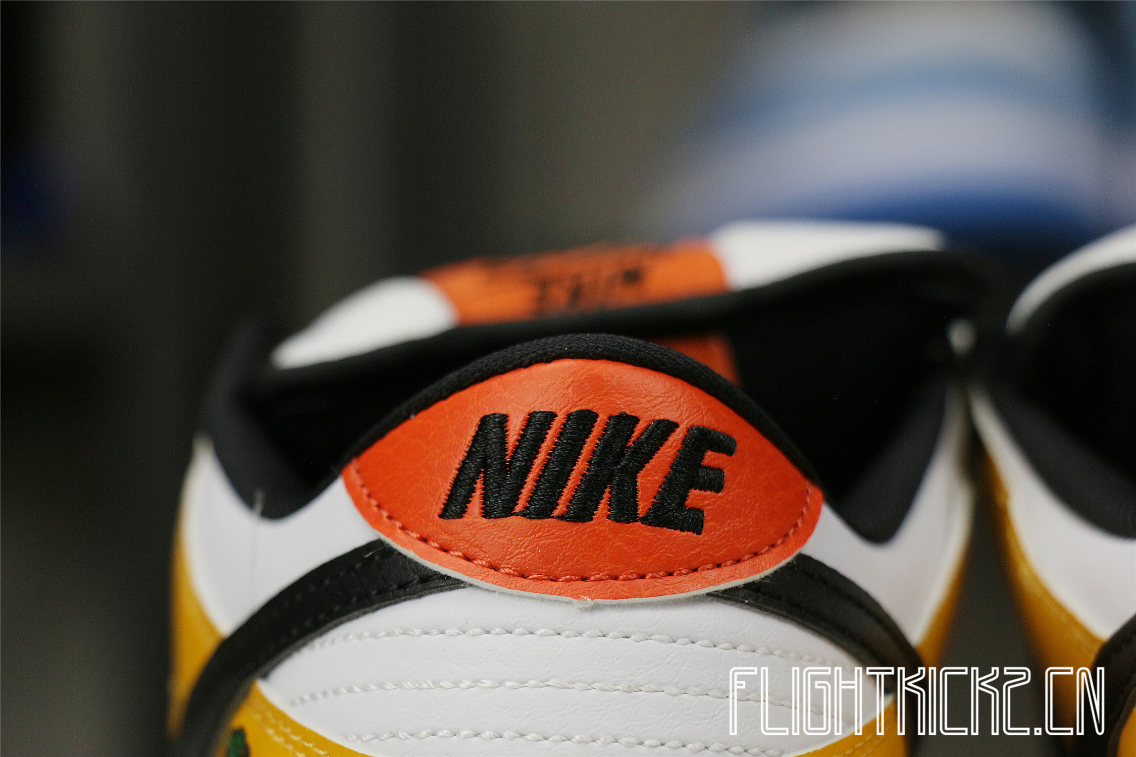 Nike SB Dunk Low Raygun White 2005(LN5 A1 Batch)