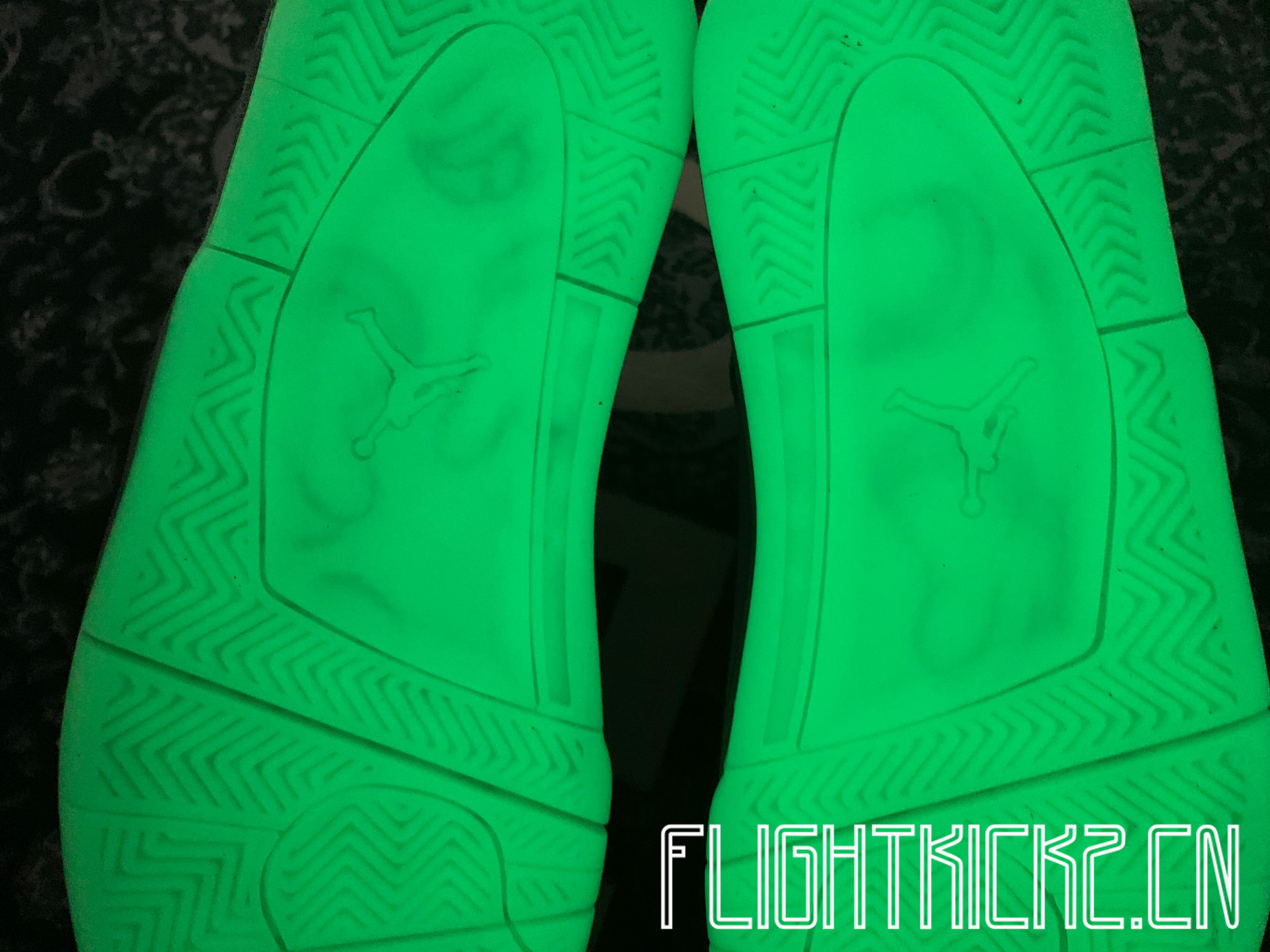 Kaws X Air Jordan 4 Retro Grey 2017 (LN5 A1 Batch)