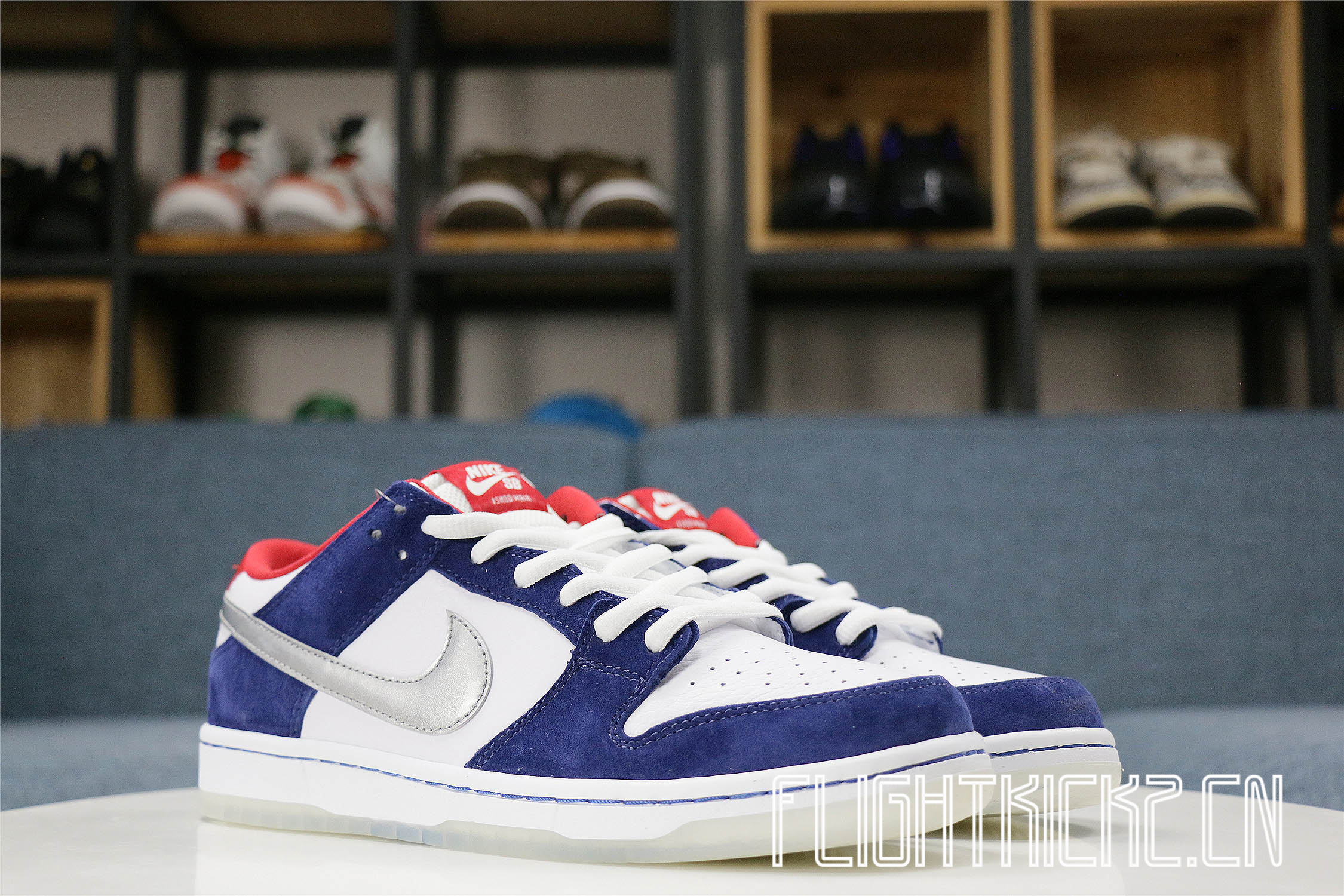 Nike Dunk SB Low Ishod Wair BMW