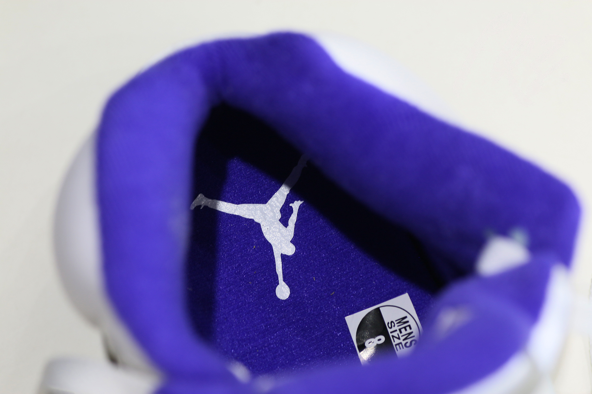 Air Jordan 5 Concord 2022 (LN5 A1 Batch)