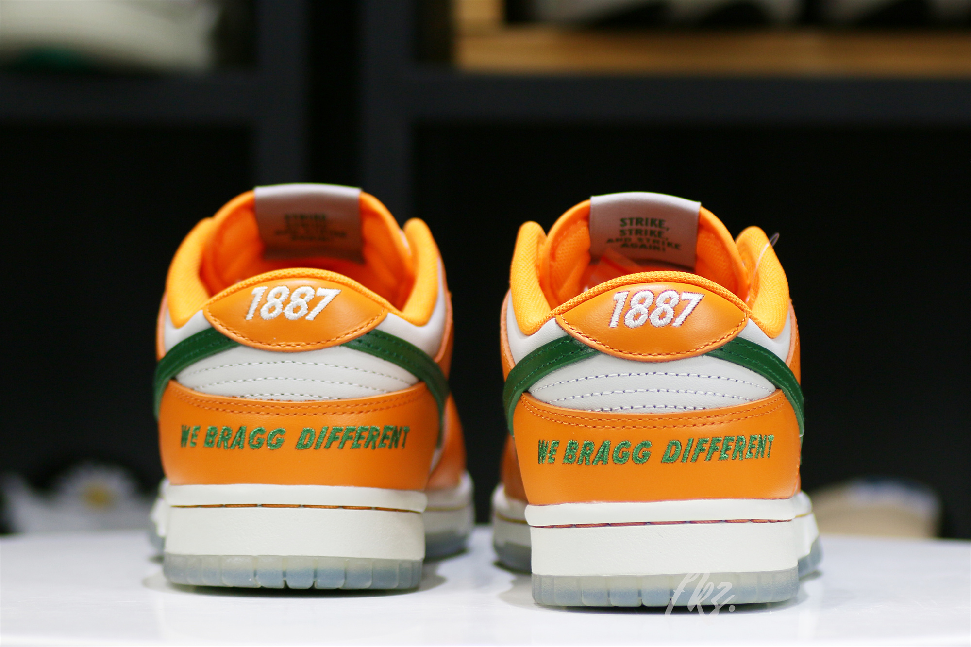 Nike Dunk Low Florida A&M University