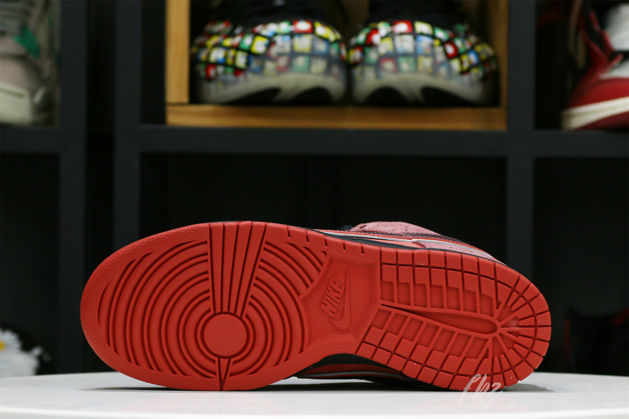 Nike SB Dunk Low Concepts Red Lobster