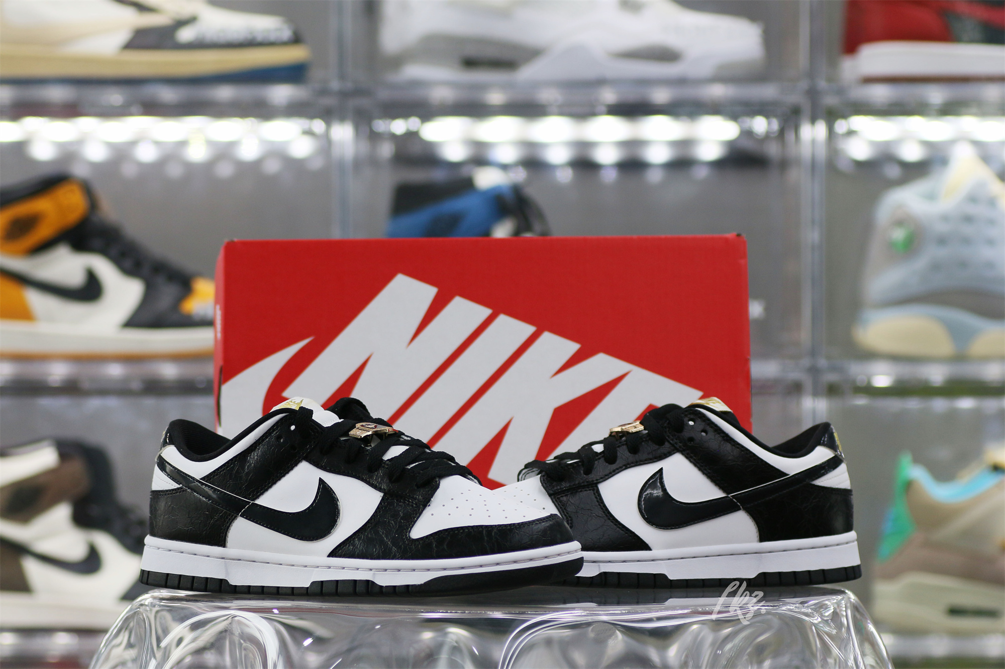 Nike Dunk Low World Champs Black White(LN5 A1 Batch)
