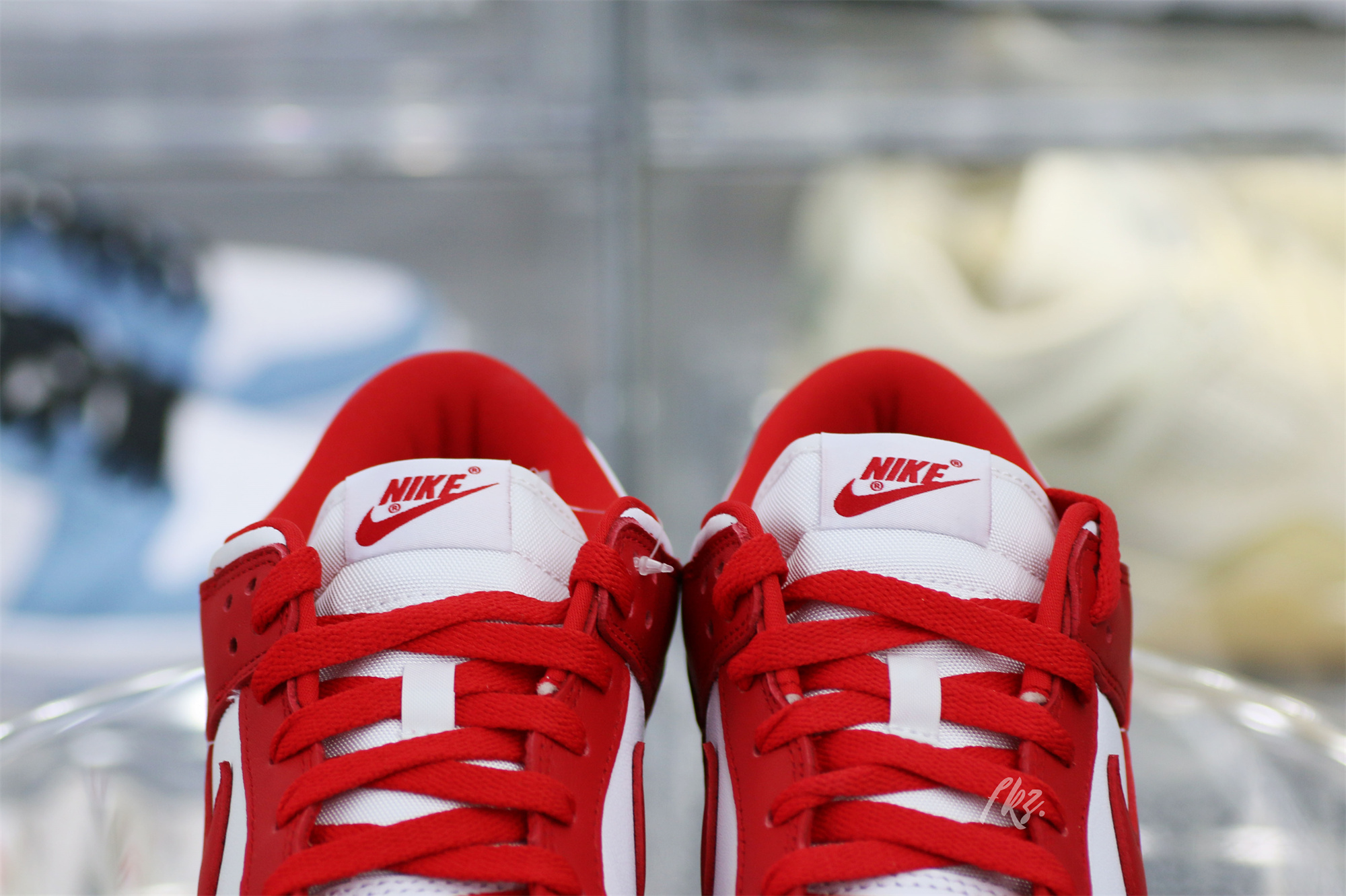 Nike SB Dunk Low University Red 2020(LN5 A1 Batch)