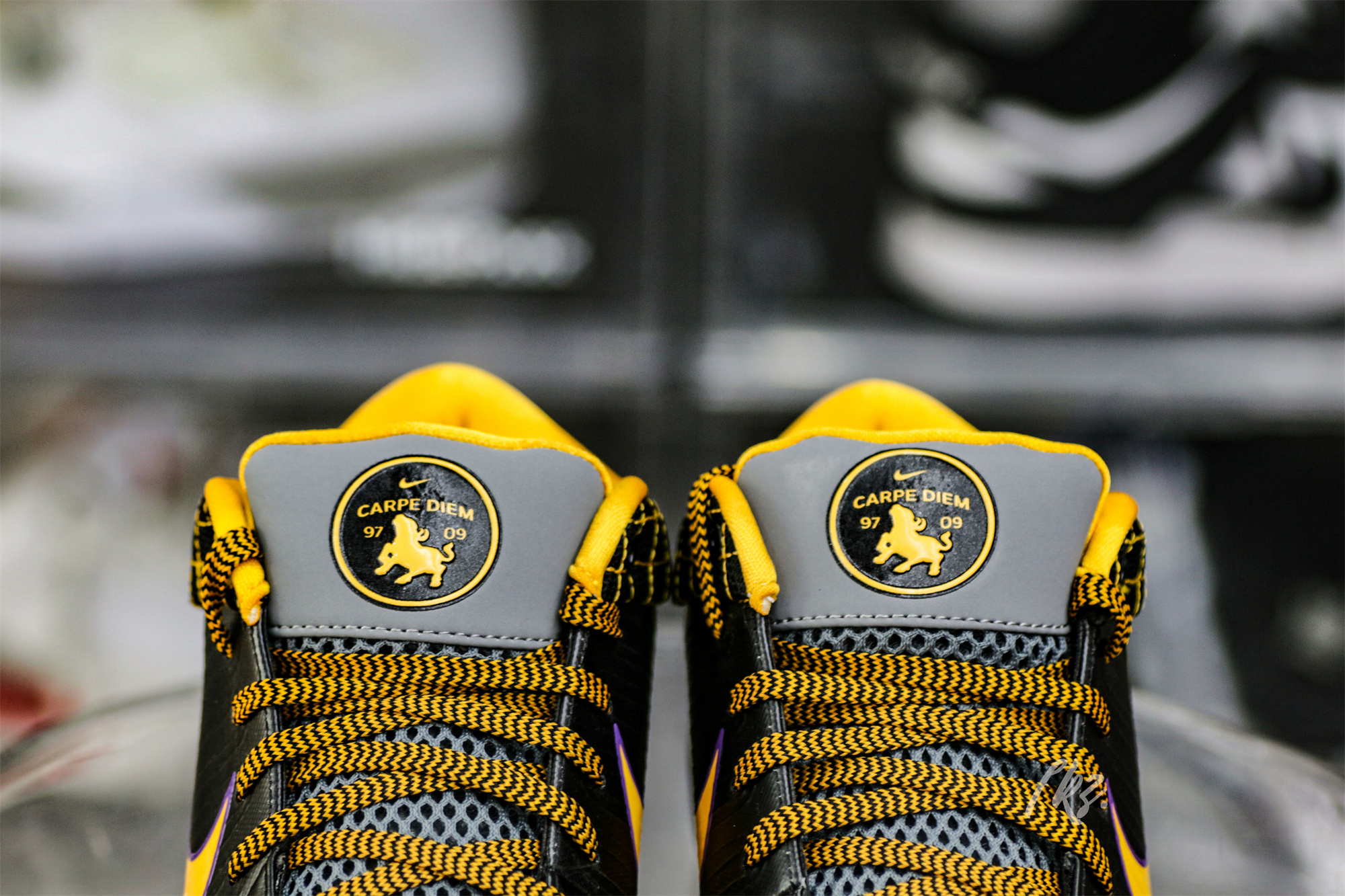 Nike Kobe 4 Protro Carpe Diem(A1 Batch)